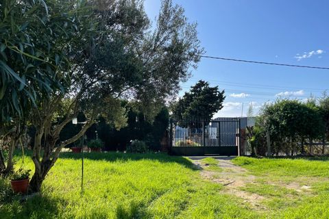 Landejendom i Tarifa, Cadiz, Tarifa - € 790.000 | Ref: CA-TA-061124/7965 - foto 12