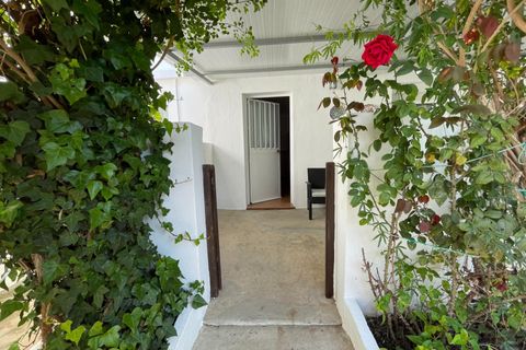 Landejendom i Tarifa, Cadiz, Tarifa - € 790.000 | Ref: CA-TA-061124/7965 - foto 33