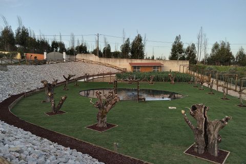 Villa i Tomar, Santarem, Tomar - € 685.000 | Ref: VCP074 - foto 20