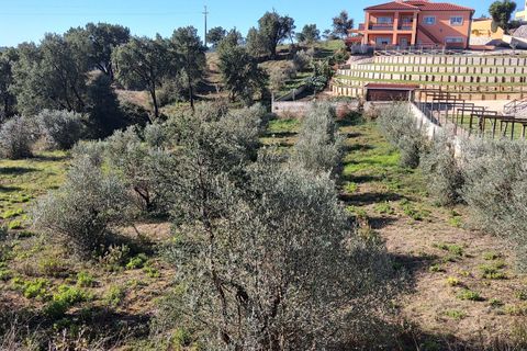Villa i Tomar, Santarem, Tomar - € 685.000 | Ref: VCP074 - foto 32
