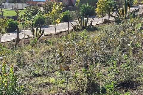 Villa i Tomar, Santarem, Tomar - € 685.000 | Ref: VCP074 - foto 35
