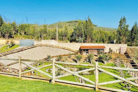 Villa i Tomar, Santarem, Tomar - € 685.000 | Ref: VCP074 - foto 43