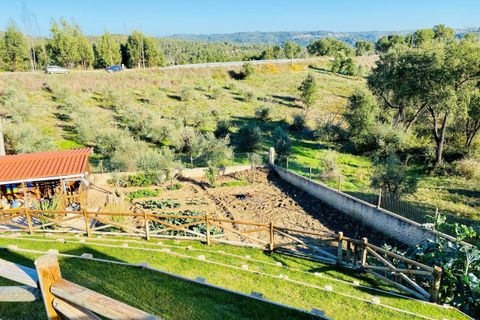 Villa i Tomar, Santarem, Tomar - € 685.000 | Ref: VCP074 - foto 45