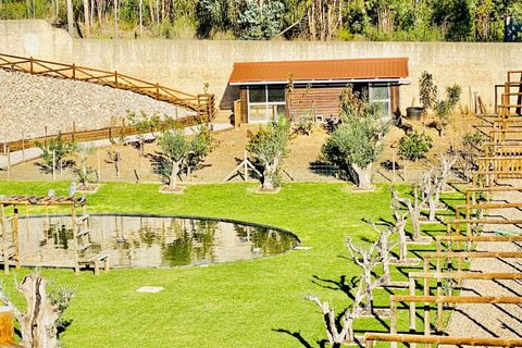 Villa i Tomar, Santarem, Tomar - € 685.000 | Ref: VCP074 - foto 47