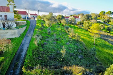 Helårsgrund i Tomar, Santarem, Tomar - € 35.000 | Ref: VCP181 - foto 2