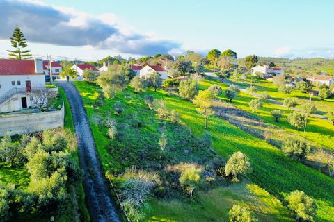 Helårsgrund i Tomar, Santarem, Tomar - € 35.000 | Ref: VCP181 - foto 3