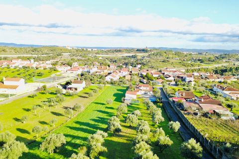 Helårsgrund i Tomar, Santarem, Tomar - € 35.000 | Ref: VCP181 - foto 4
