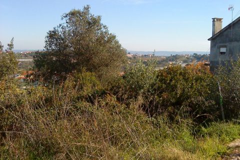 Helårsgrund i Tomar, Santarem, Tomar - € 35.000 | Ref: VCP181 - foto 13