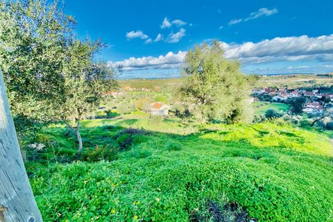 Helårsgrund i Tomar, Santarem, Tomar - € 35.000 | Ref: VCP181 - foto 16