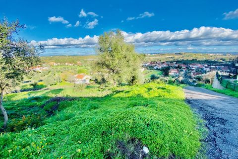 Helårsgrund i Tomar, Santarem, Tomar - € 35.000 | Ref: VCP181 - foto 17