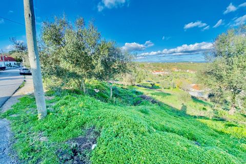 Helårsgrund i Tomar, Santarem, Tomar - € 35.000 | Ref: VCP181 - foto 18