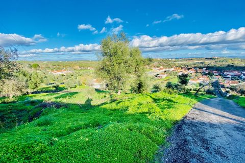 Helårsgrund i Tomar, Santarem, Tomar - € 35.000 | Ref: VCP181 - foto 19