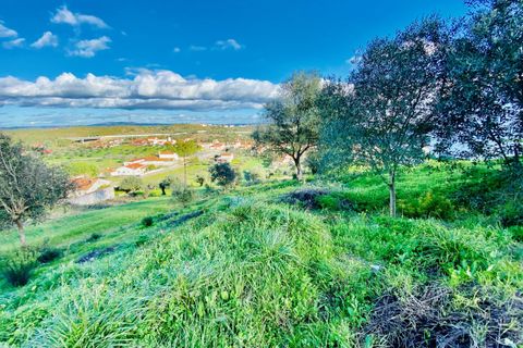Helårsgrund i Tomar, Santarem, Tomar - € 35.000 | Ref: VCP181 - foto 20