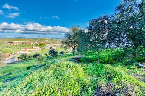 Helårsgrund i Tomar, Santarem, Tomar - € 35.000 | Ref: VCP181 - foto 21