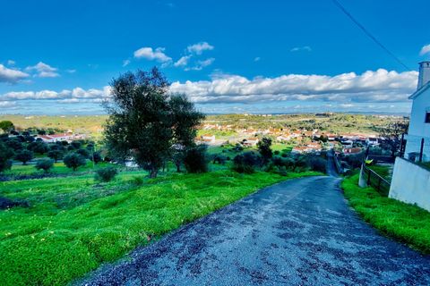 Helårsgrund i Tomar, Santarem, Tomar - € 35.000 | Ref: VCP181 - foto 22