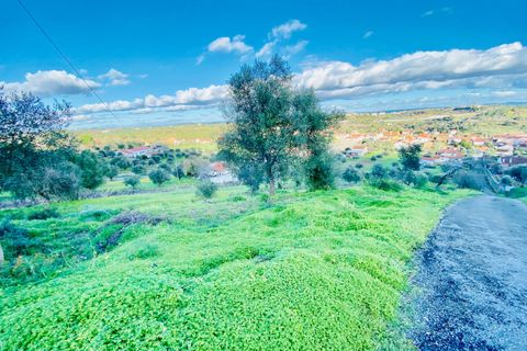 Helårsgrund i Tomar, Santarem, Tomar - € 35.000 | Ref: VCP181 - foto 23