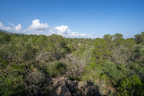 Finca i Xerta, Tarragona, Xerta - € 15.000 | Ref: 141 - foto 8