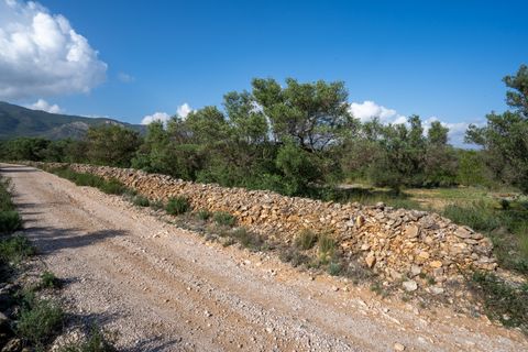 Finca i Xerta, Tarragona, Xerta - € 15.000 | Ref: 141 - foto 2