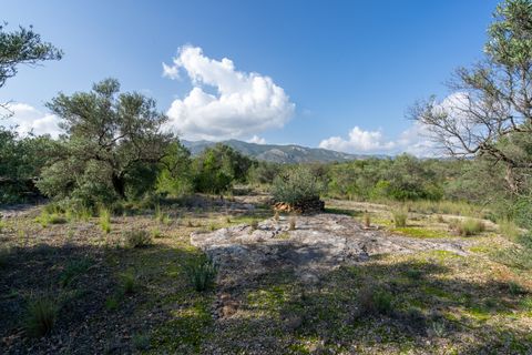 Finca i Xerta, Tarragona, Xerta - € 15.000 | Ref: 141 - foto 4