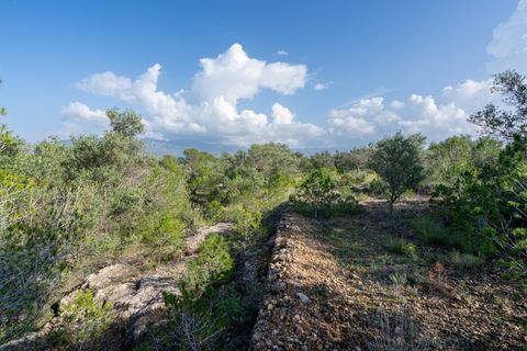 Finca i Xerta, Tarragona, Xerta - € 15.000 | Ref: 141 - foto 6