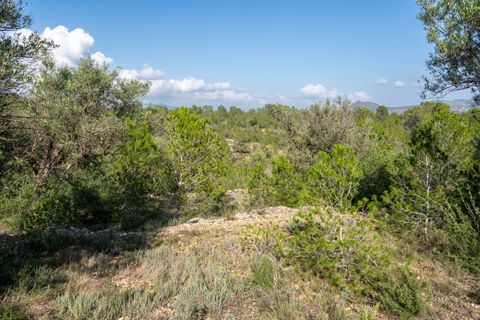 Finca i Xerta, Tarragona, Xerta - € 15.000 | Ref: 141 - foto 9