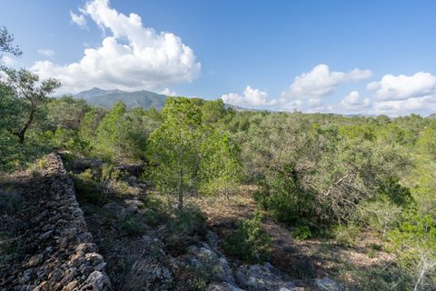 Finca i Xerta, Tarragona, Xerta - € 15.000 | Ref: 141 - foto 10
