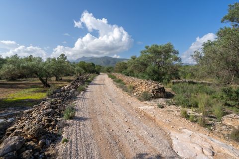Finca i Xerta, Tarragona, Xerta - € 15.000 | Ref: 141 - foto 3