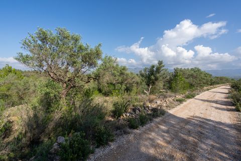 Finca i Xerta, Tarragona, Xerta - € 15.000 | Ref: 141 - foto 12