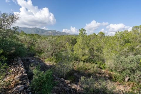Finca i Xerta, Tarragona, Xerta - € 15.000 | Ref: 141 - foto 11