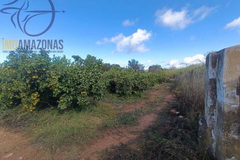 Helårsgrund i Silves, Faro, Silves - € 135.000 | Ref: 04-157 - foto 2