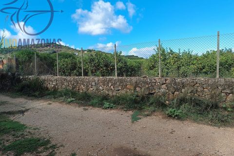Helårsgrund i Silves, Faro, Silves - € 135.000 | Ref: 04-157 - foto 4