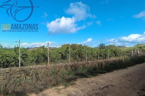 Helårsgrund i Silves, Faro, Silves - € 135.000 | Ref: 04-157 - foto 7