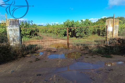 Helårsgrund i Silves, Faro, Silves - € 135.000 | Ref: 04-157 - foto 8