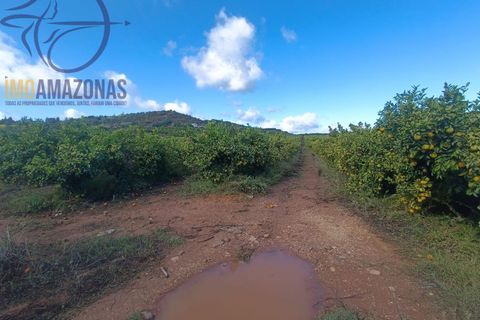 Helårsgrund i Silves, Faro, Silves - € 135.000 | Ref: 04-157 - foto 9