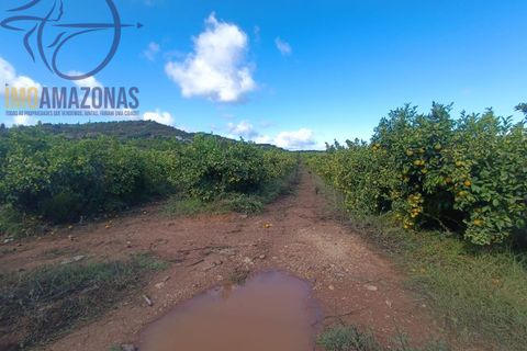 Helårsgrund i Silves, Faro, Silves - € 135.000 | Ref: 04-157 - foto 11