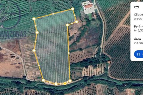 Helårsgrund i Silves, Faro, Silves - € 135.000 | Ref: 04-157 - foto 12
