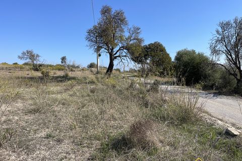 Helårsgrund i Noto, Siracusa, Noto - € 75.000 | Ref: LEF-1628 - foto 3