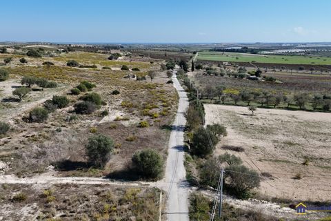 Helårsgrund i Noto, Siracusa, Noto - € 75.000 | Ref: LEF-1628 - foto 4