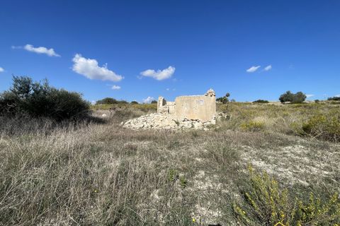 Helårsgrund i Noto, Siracusa, Noto - € 75.000 | Ref: LEF-1628 - foto 9
