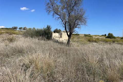 Helårsgrund i Noto, Siracusa, Noto - € 75.000 | Ref: LEF-1628 - foto 10