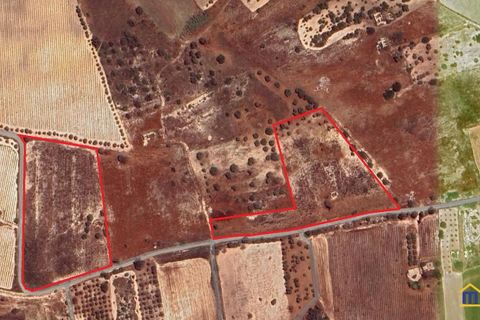 Helårsgrund i Noto, Siracusa, Noto - € 75.000 | Ref: LEF-1628 - foto 11
