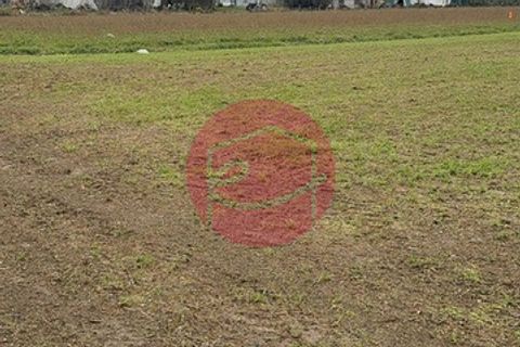 Terra a Gatteo, Forli-Cesena, Gatteo - € 120.000 | Ref: G-L1-033 - foto 23