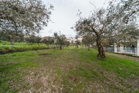Helårsgrund i Covilha, Castelo Branco, Covilha - € 39.000 | Ref: 255240222 - foto 4