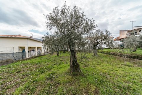 Helårsgrund i Covilha, Castelo Branco, Covilha - € 39.000 | Ref: 255240222 - foto 8