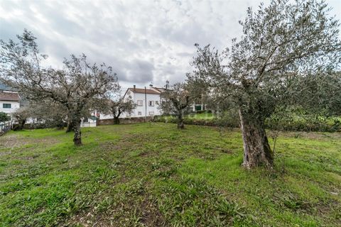 Helårsgrund i Covilha, Castelo Branco, Covilha - € 39.000 | Ref: 255240222 - foto 9