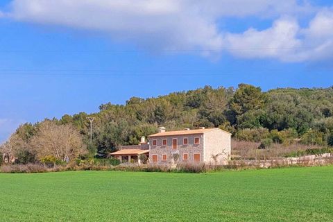 Villa a Algaida, Mallorca, Algaida - € 1.995.000 | Ref: 127 Algaida 1995 - foto 23
