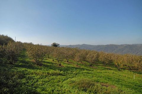 Masia a Feisoglio, Cuneo, Feisoglio - € 52.000 | Ref: FSL016 - foto 6