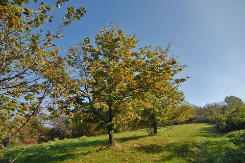 Masia a Feisoglio, Cuneo, Feisoglio - € 52.000 | Ref: FSL016 - foto 13