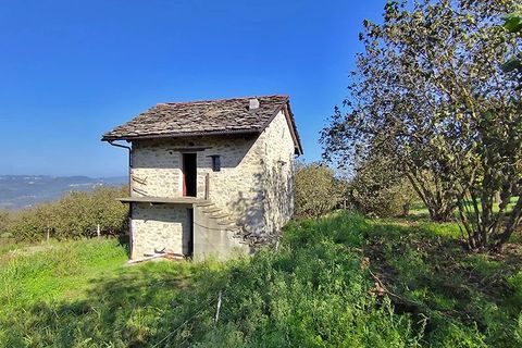Masia a Feisoglio, Cuneo, Feisoglio - € 52.000 | Ref: FSL016 - foto 18