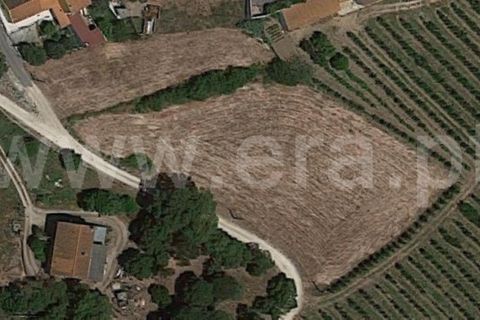 Helårsgrund i Torres Vedras, Lisbon, Torres Vedras - € 99.000 | Ref: 295220158 - foto 2